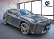 Lexus UX 250h Style