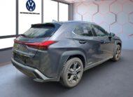 Lexus UX 250h Style